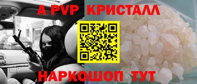 индика Пугачёв