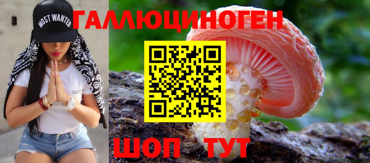 Свободный  Псилоцибиновые грибы мицелий  Вход с VPN 