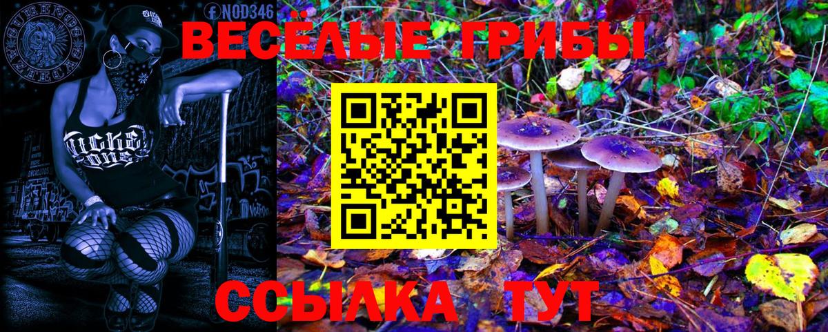 Галлюциногенные грибы GOLDEN TEACHER Свободный
